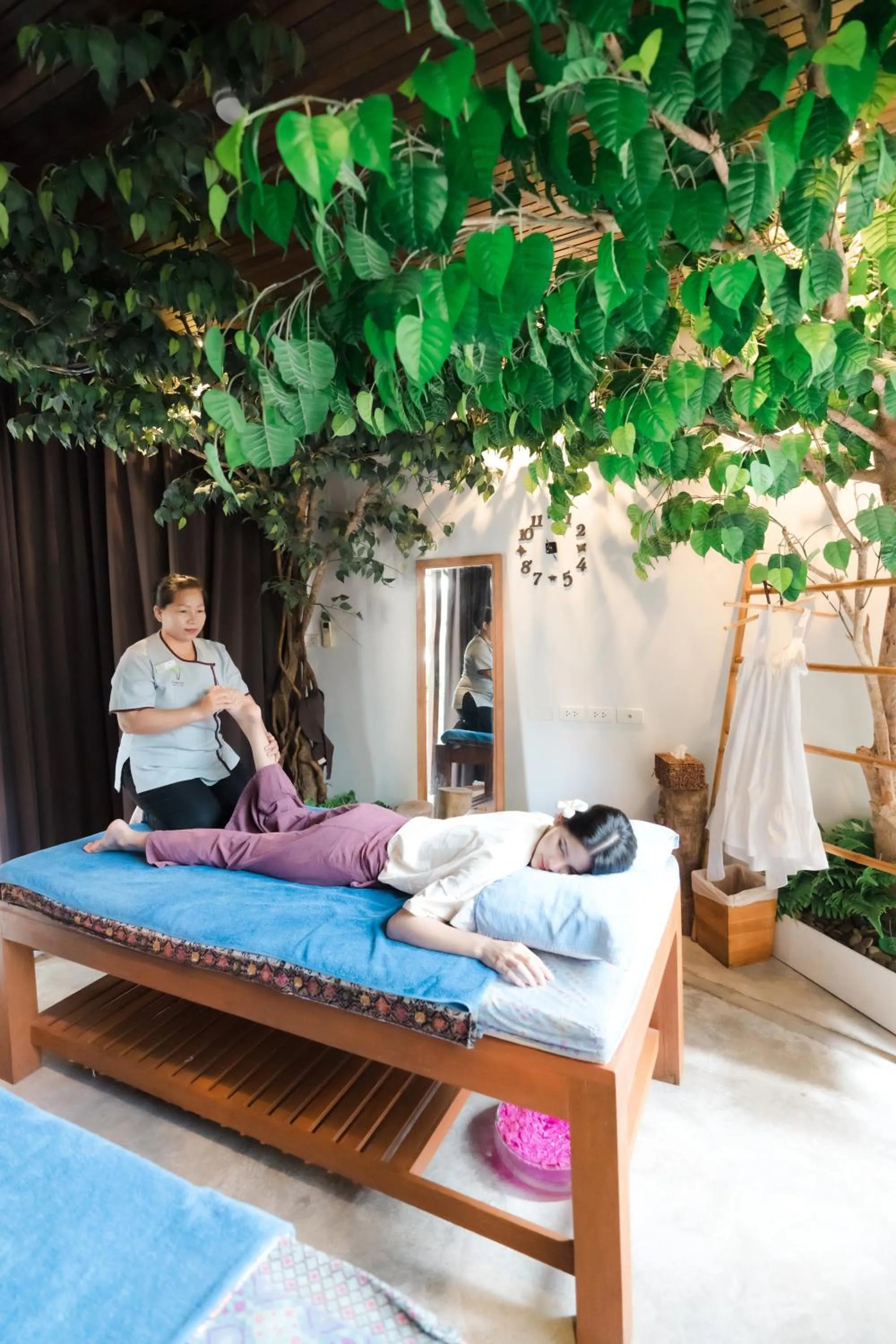 Spa and wellness centre/facilities in Mimosa Resort & Spa