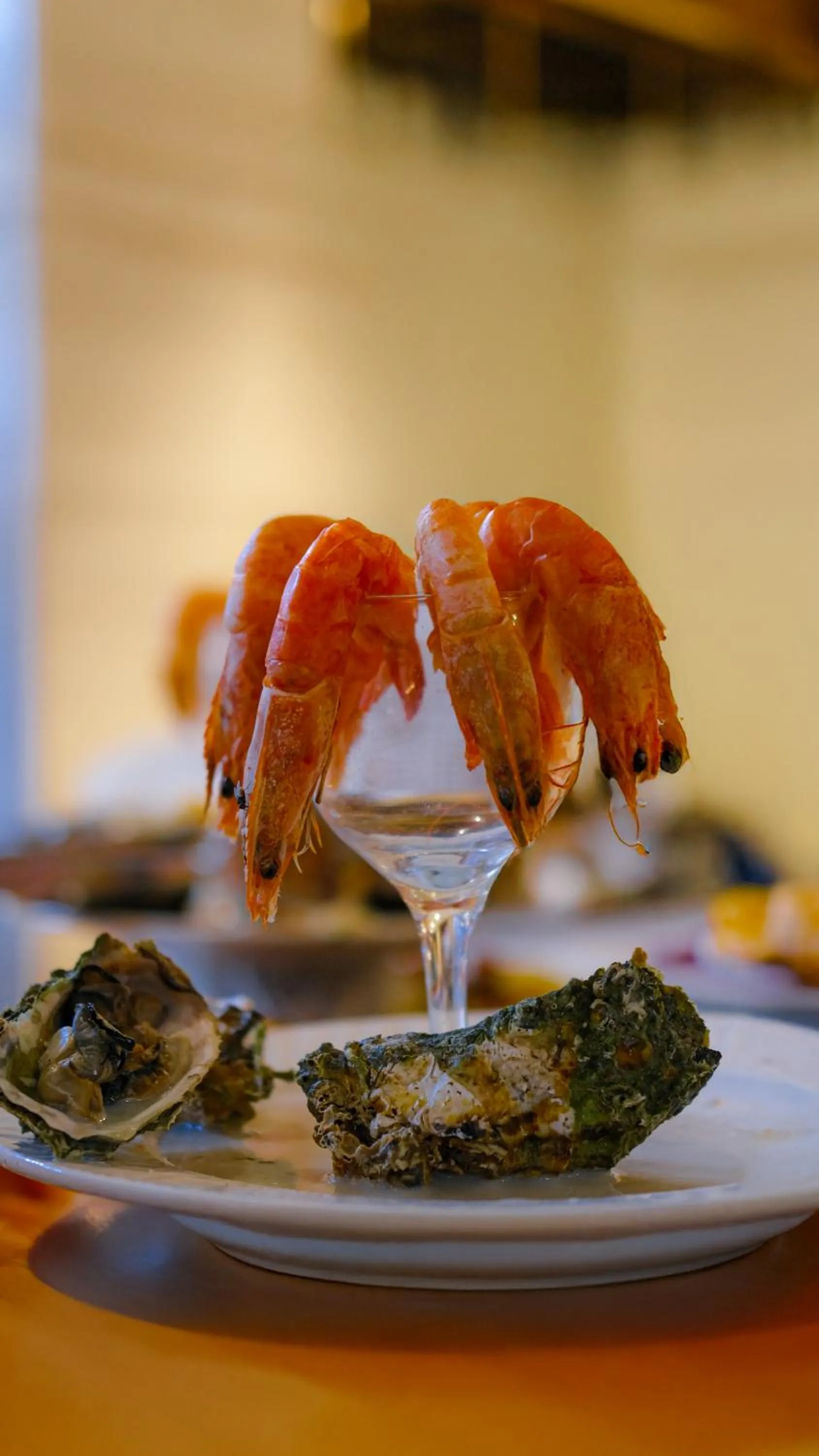 Dinner in Side Village Family Suite - All Inclusive