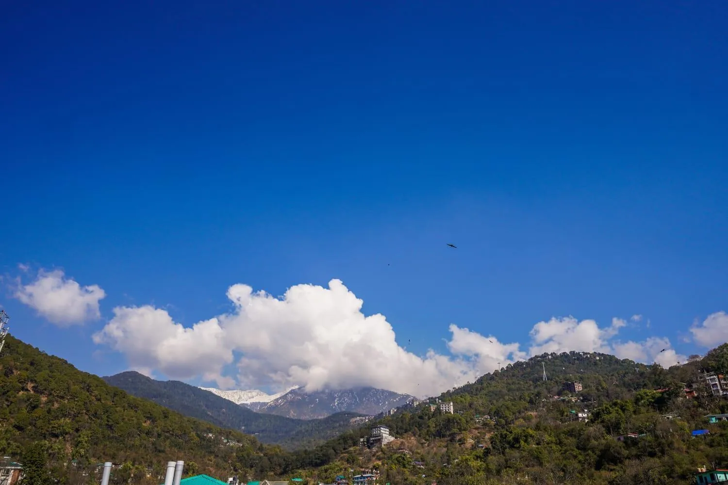 View (from property/room) in Hotel Nature's View