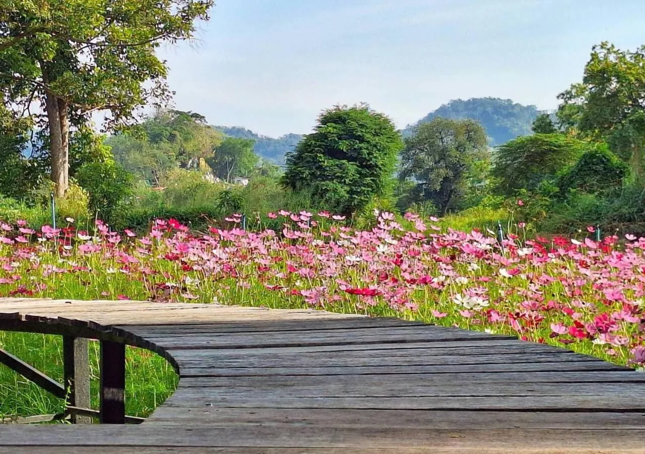 Day in Supalai Pasak Resort Hotel And Spa