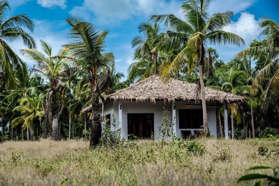 Property building in Anahata Resort