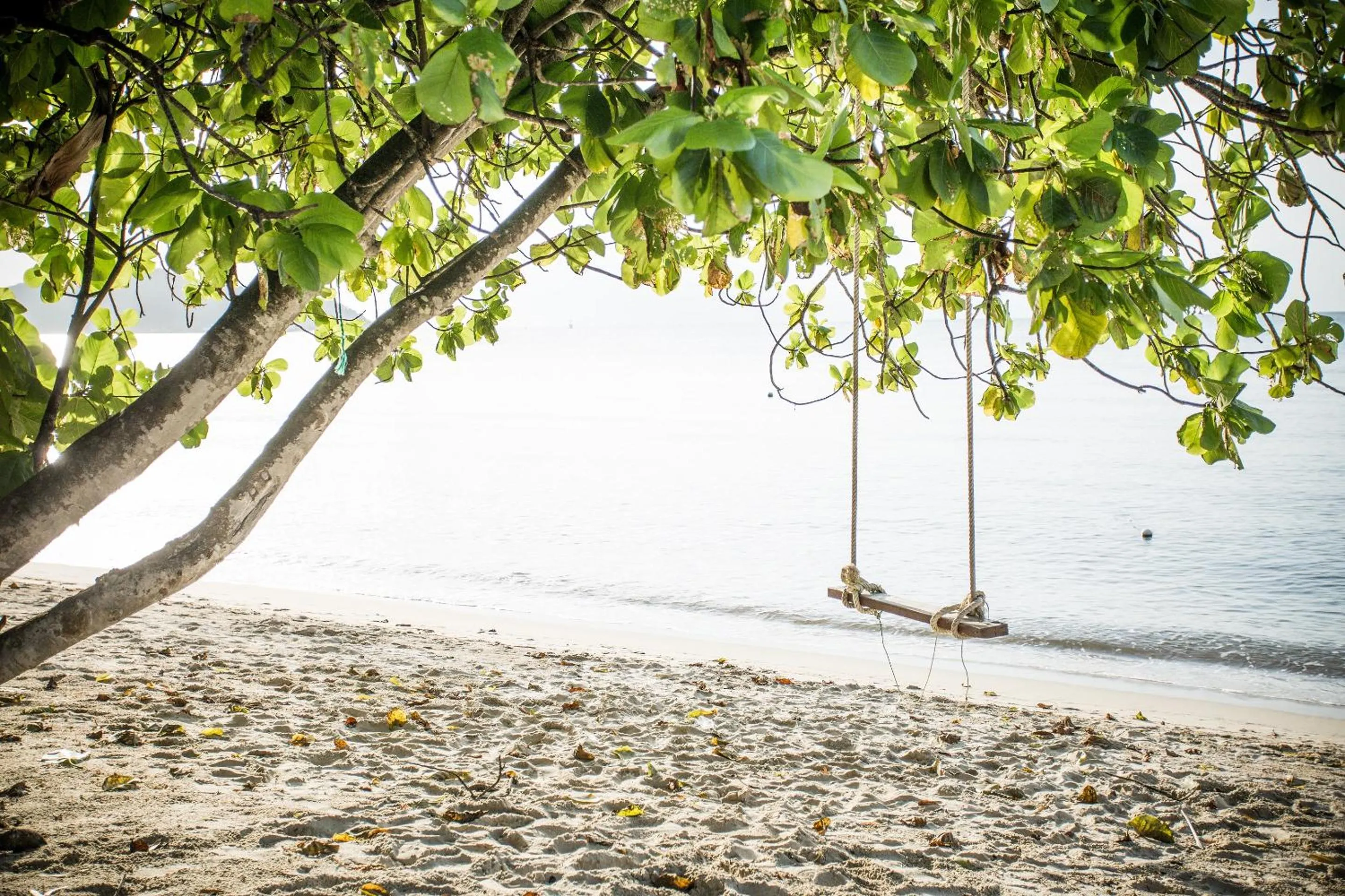 Activities in Anahata Resort