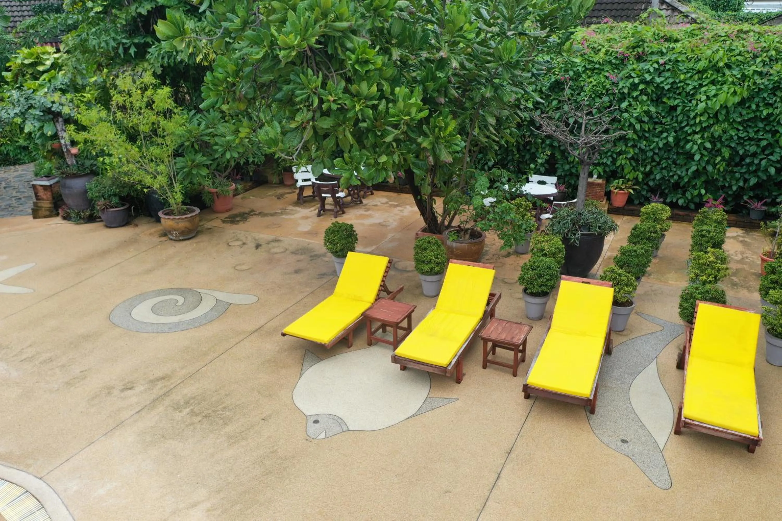 Patio in Tropica Bungalow Beach Hotel