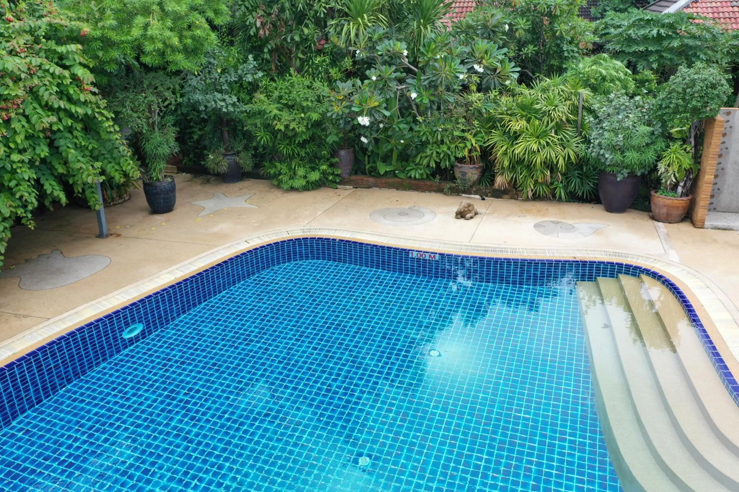 Swimming pool in Tropica Bungalow Beach Hotel