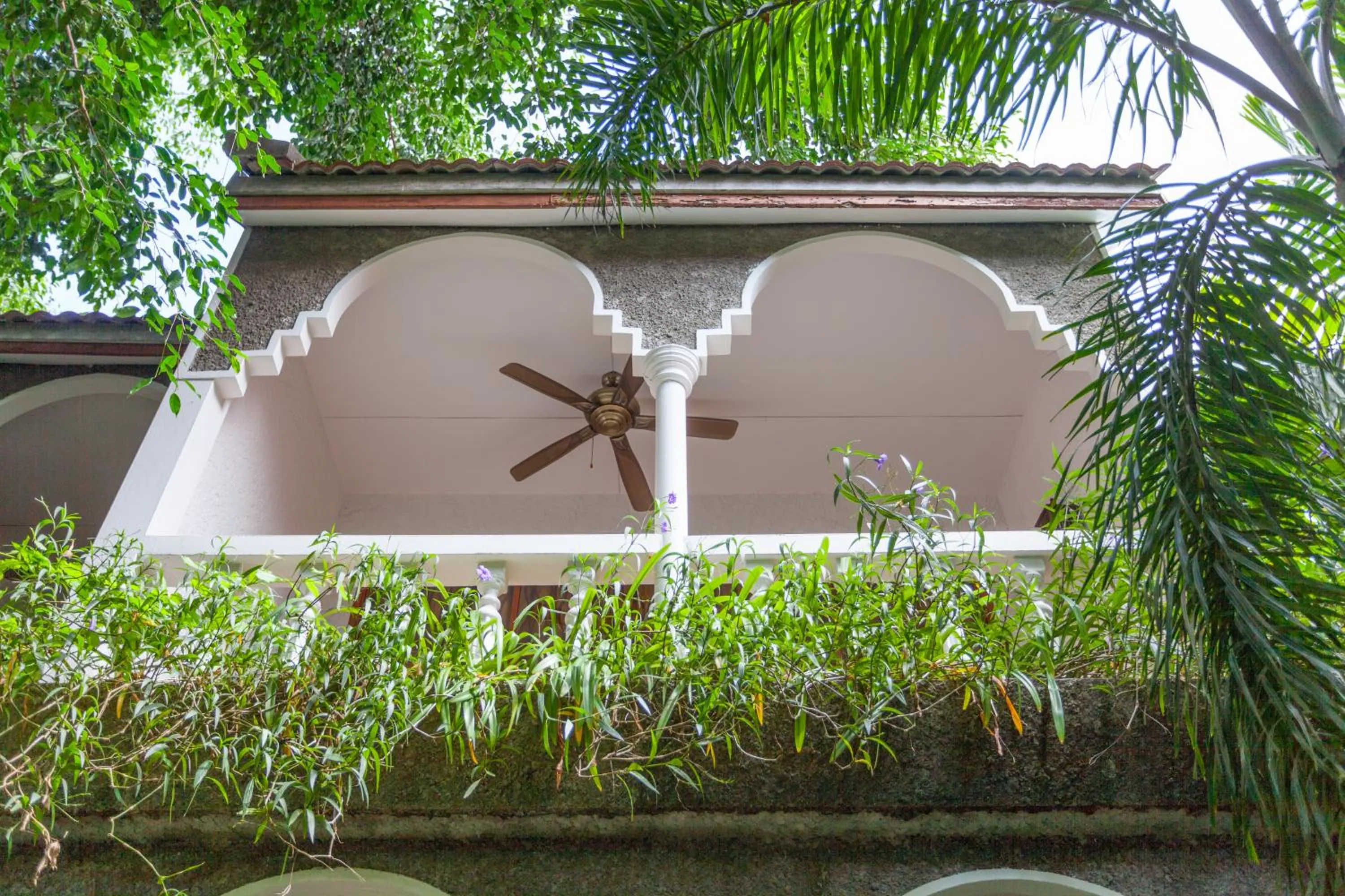 Garden in Tropica Bungalow Beach Hotel