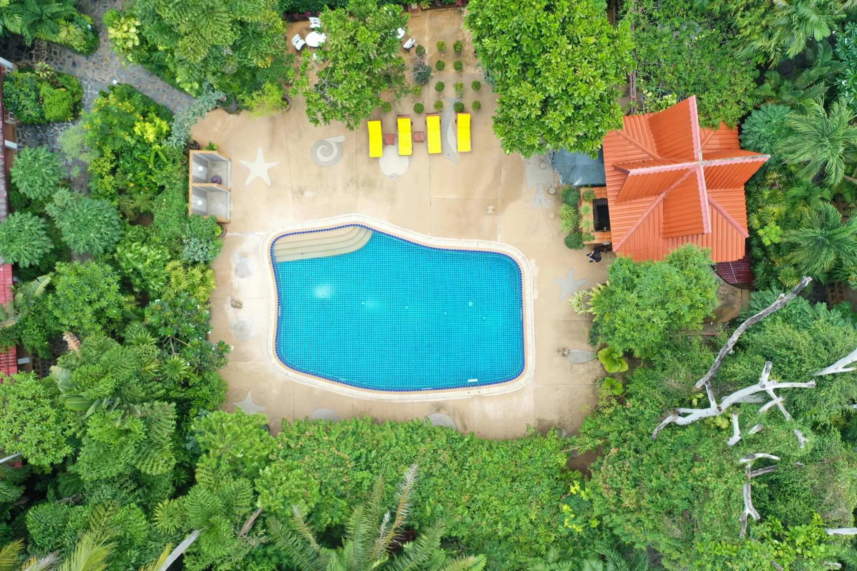Pool view in Tropica Bungalow Beach Hotel