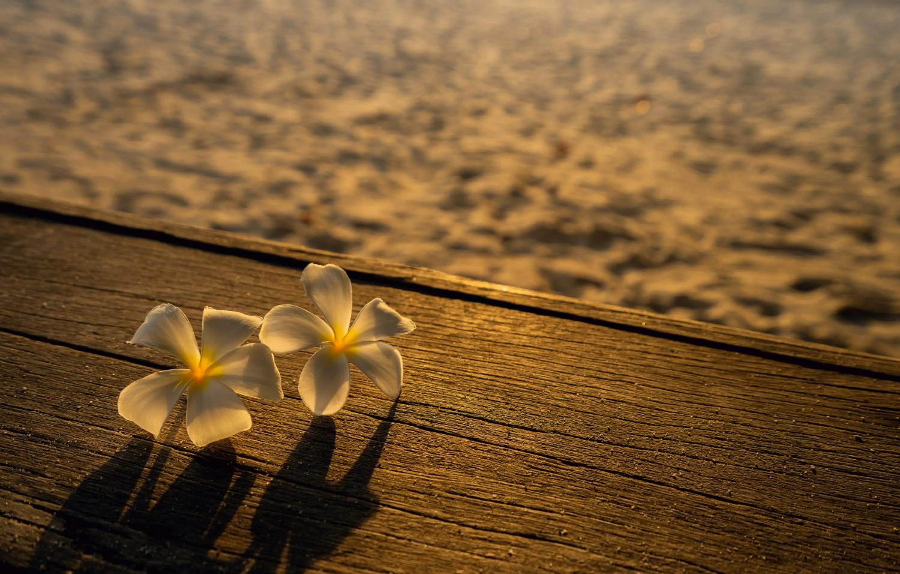 Sunset in Chaweng Buri Resort