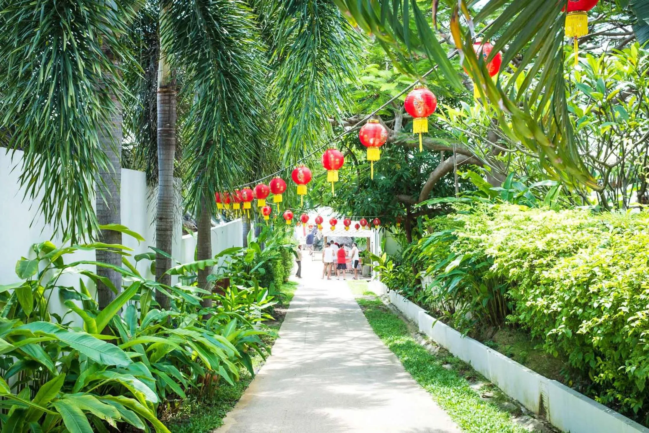 Garden in Beach Republic Koh Samui