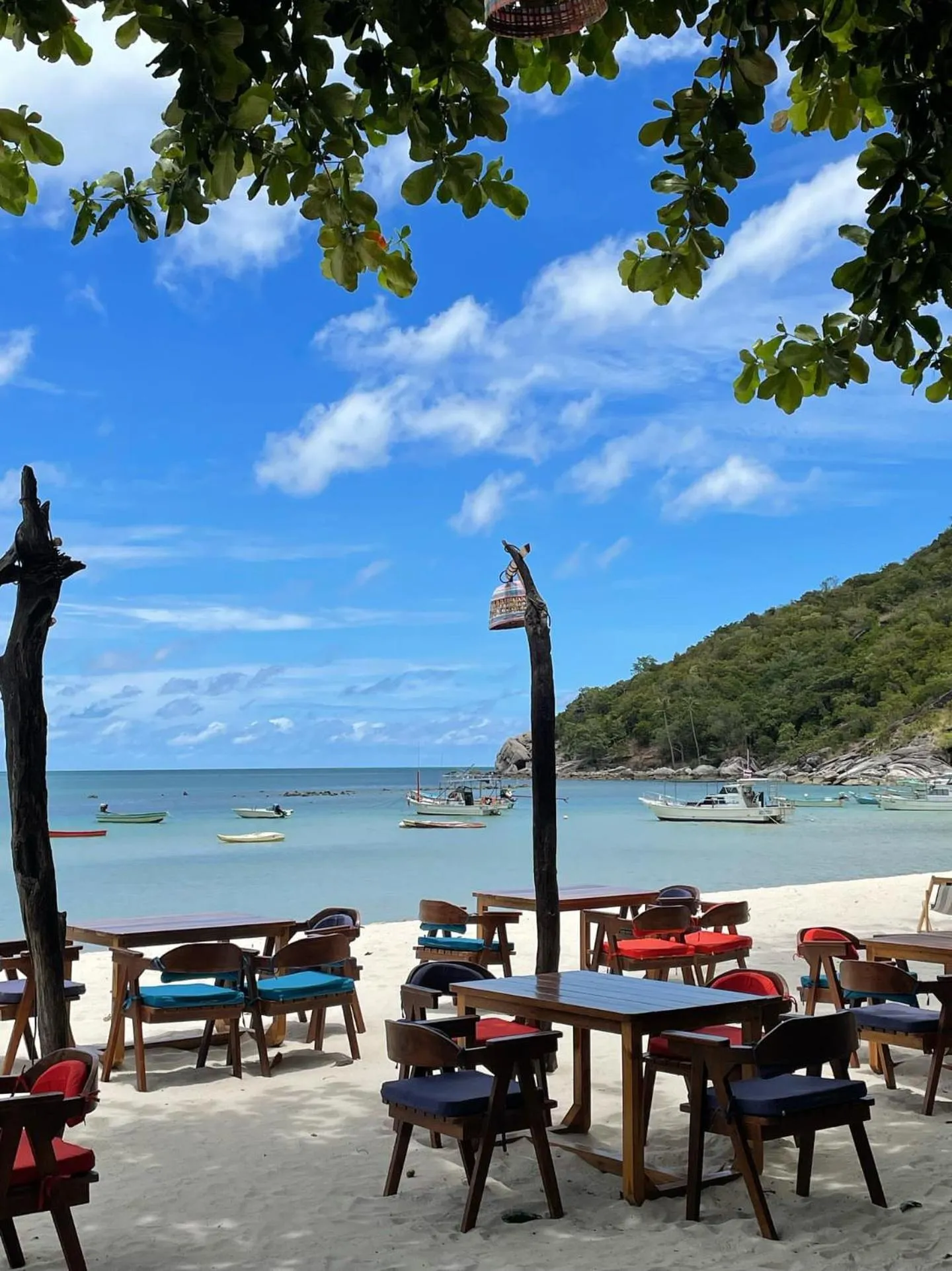 Restaurant/places to eat in Havana Beach Resort Phangan