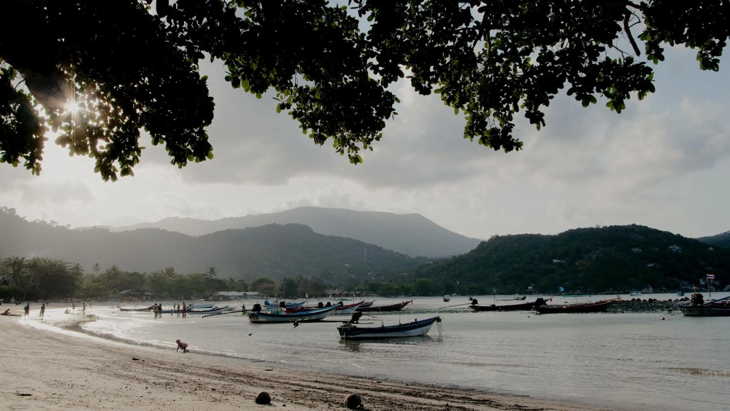 Natural landscape in Havana Beach Resort Phangan
