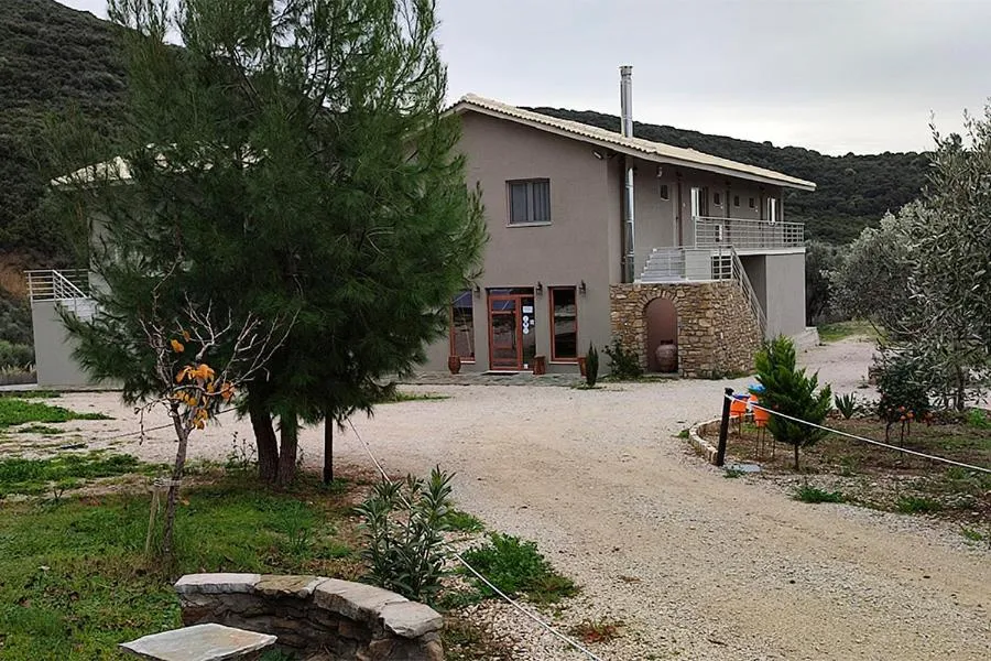 Socrates Organic Village - Wild Olive