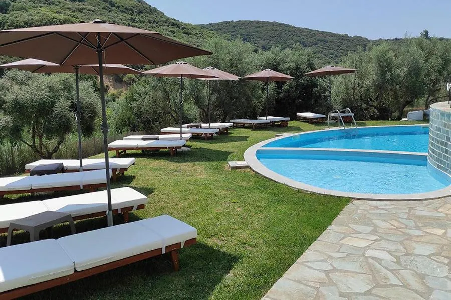 Socrates Organic Village - Wild Olive