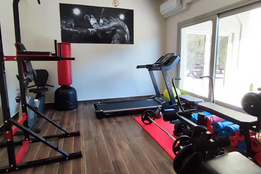 Socrates Organic Village - Wild Olive