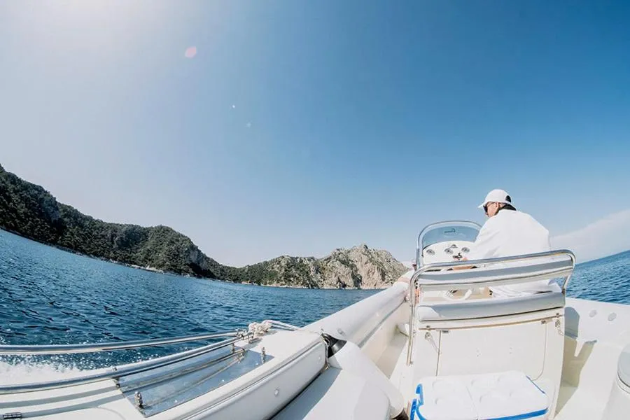 Socrates Organic Village - Wild Olive