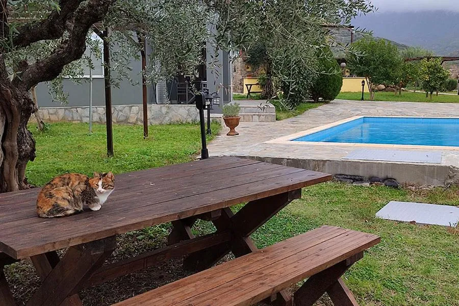 Socrates Organic Village - Wild Olive