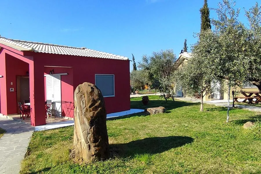 Socrates Organic Village - Wild Olive