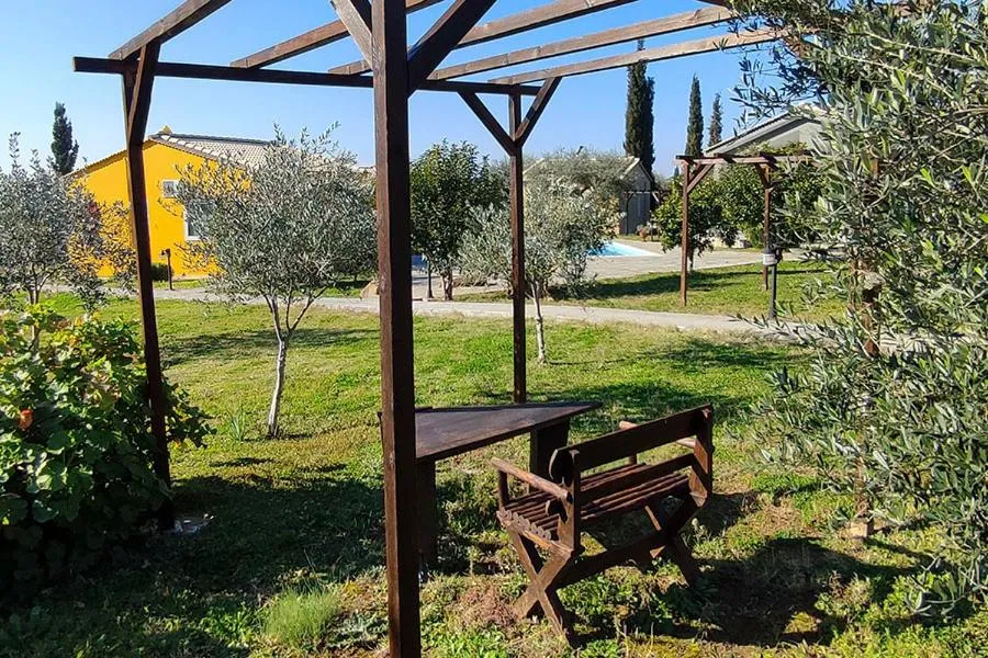 Socrates Organic Village - Wild Olive