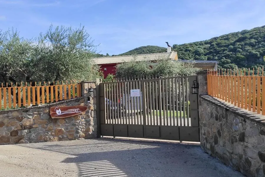 Socrates Organic Village - Wild Olive