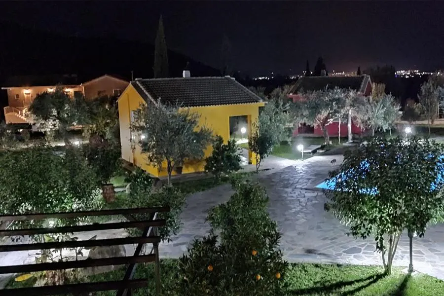 Socrates Organic Village - Wild Olive