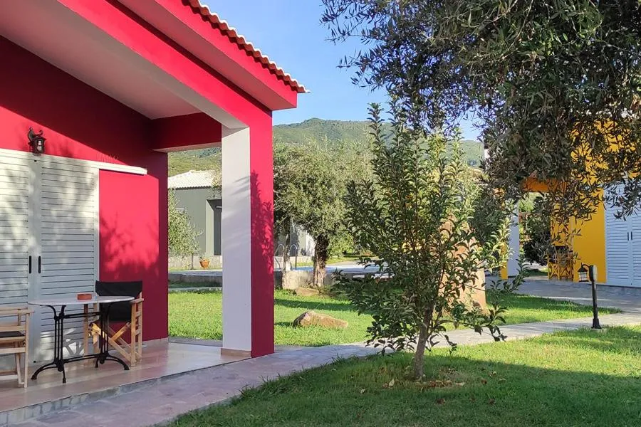 Socrates Organic Village - Wild Olive