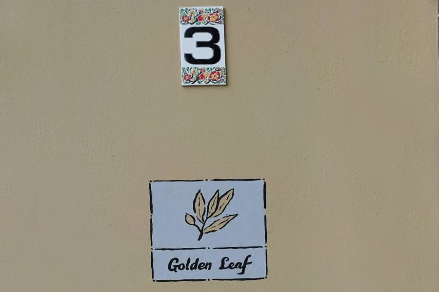 Socrates Organic Village - Wild Olive