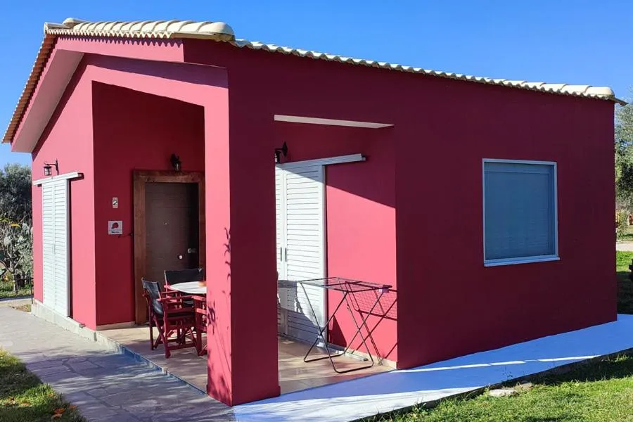 Socrates Organic Village - Wild Olive