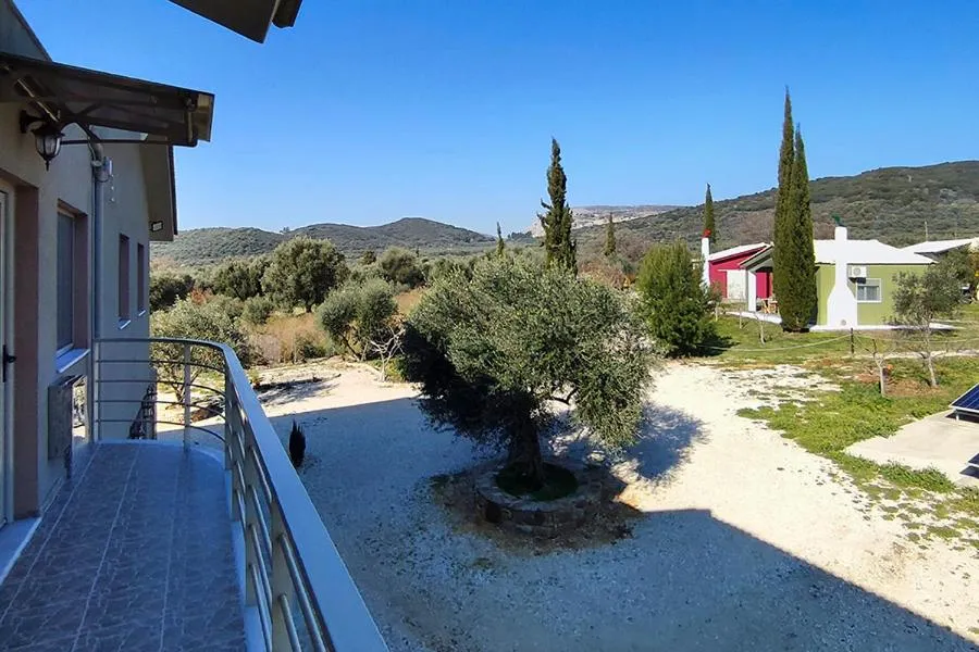 Socrates Organic Village - Wild Olive