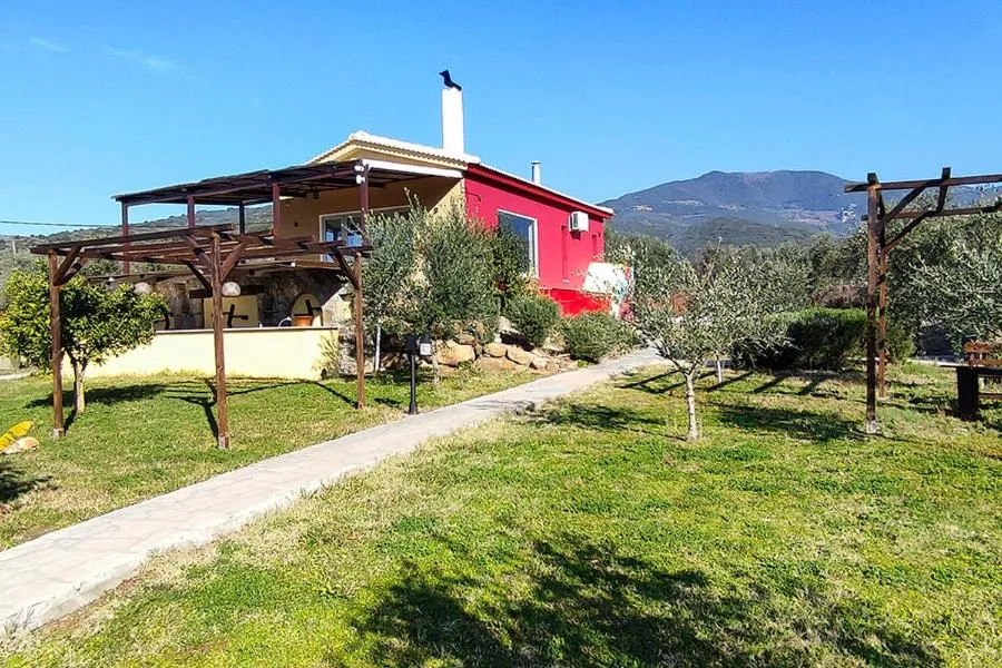 Socrates Organic Village - Wild Olive