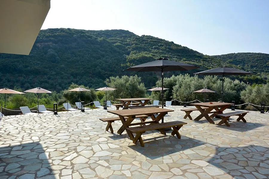 Socrates Organic Village - Wild Olive