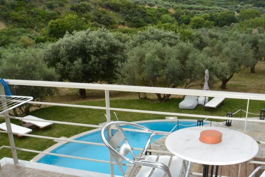 Socrates Organic Village - Wild Olive