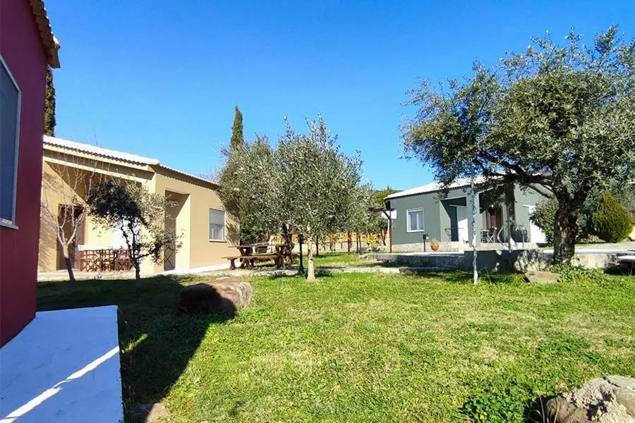 Socrates Organic Village - Wild Olive