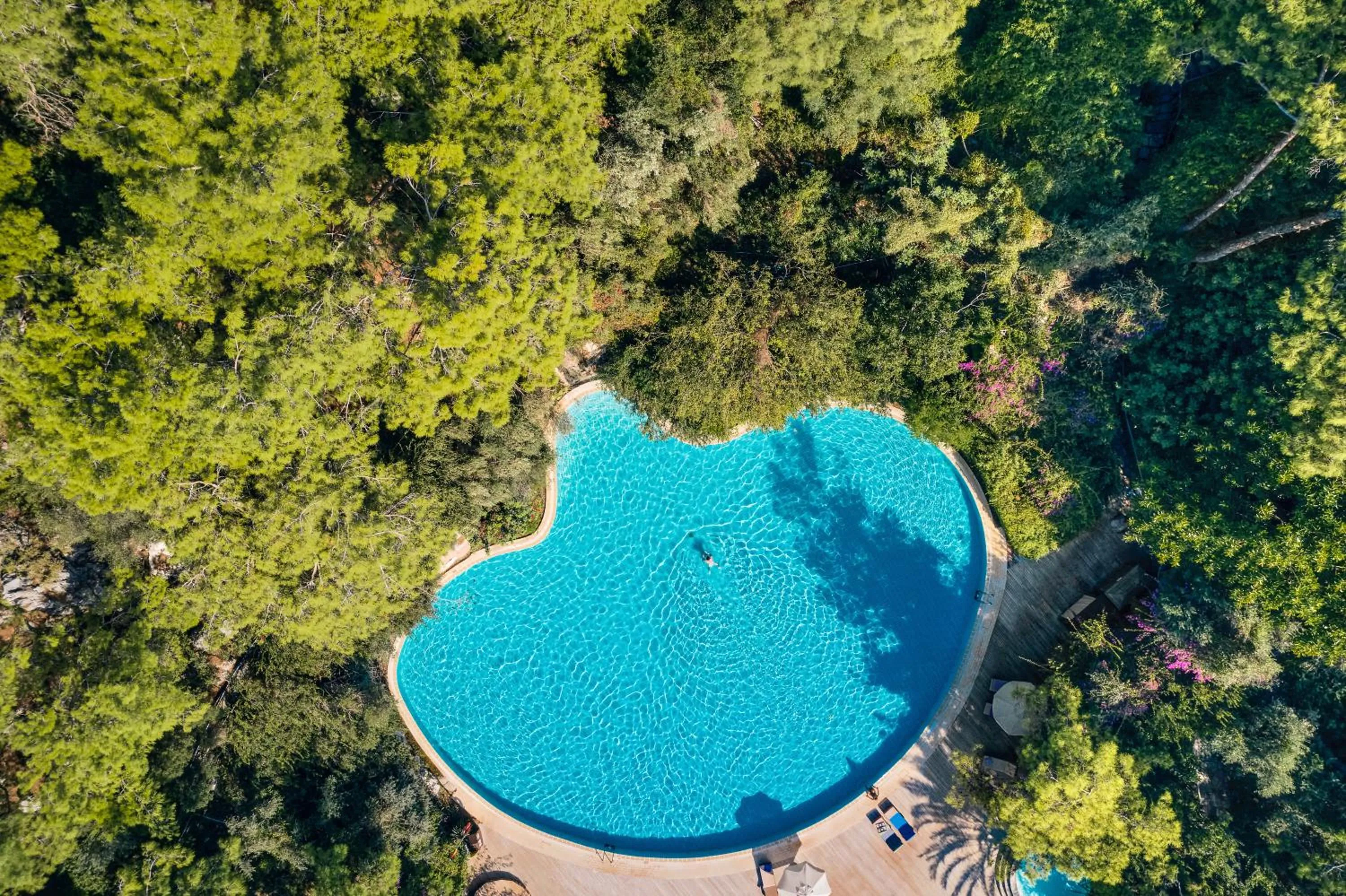 Garden in TUI MAGIC LIFE Sarigerme