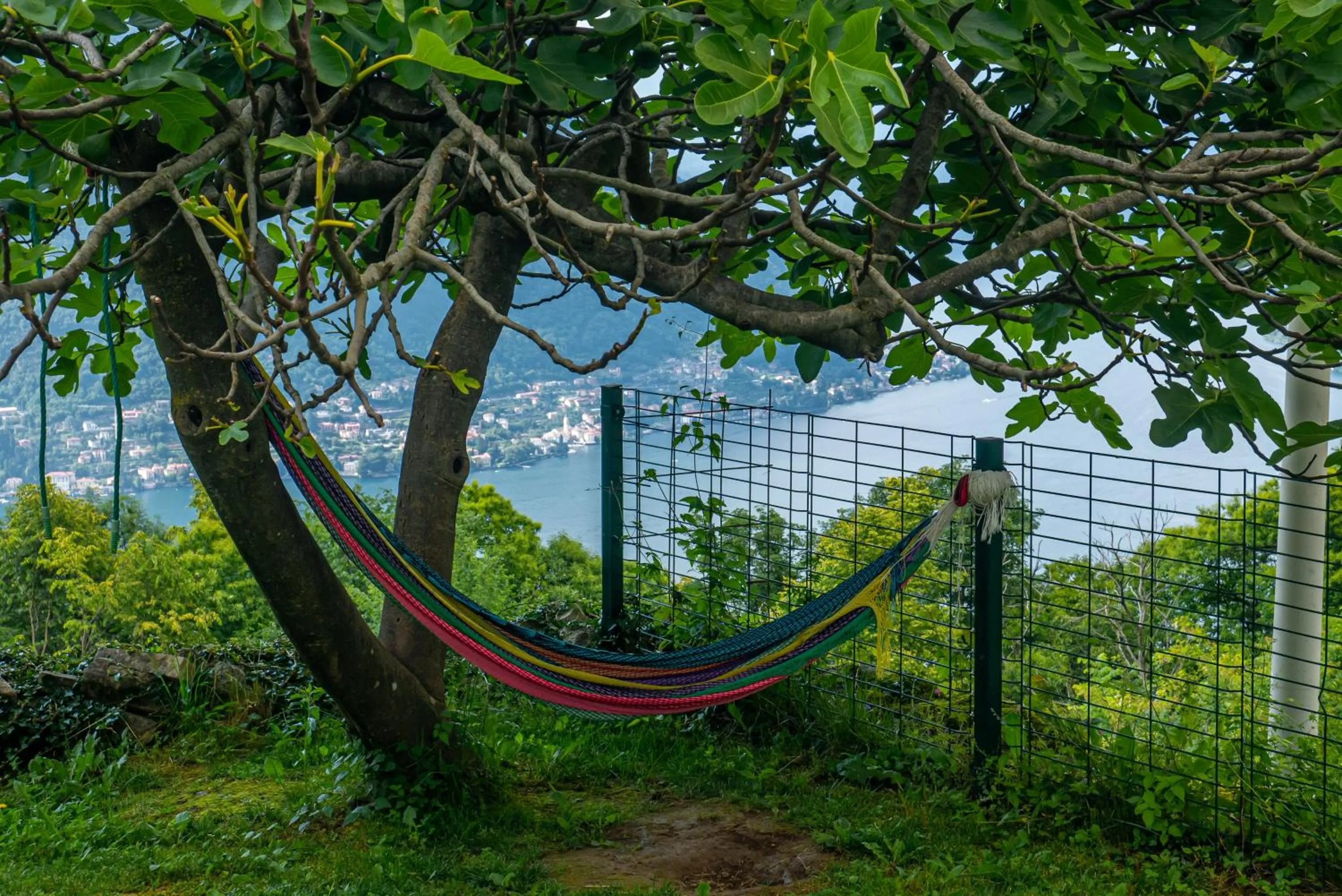 Patio in Essentia Guest House