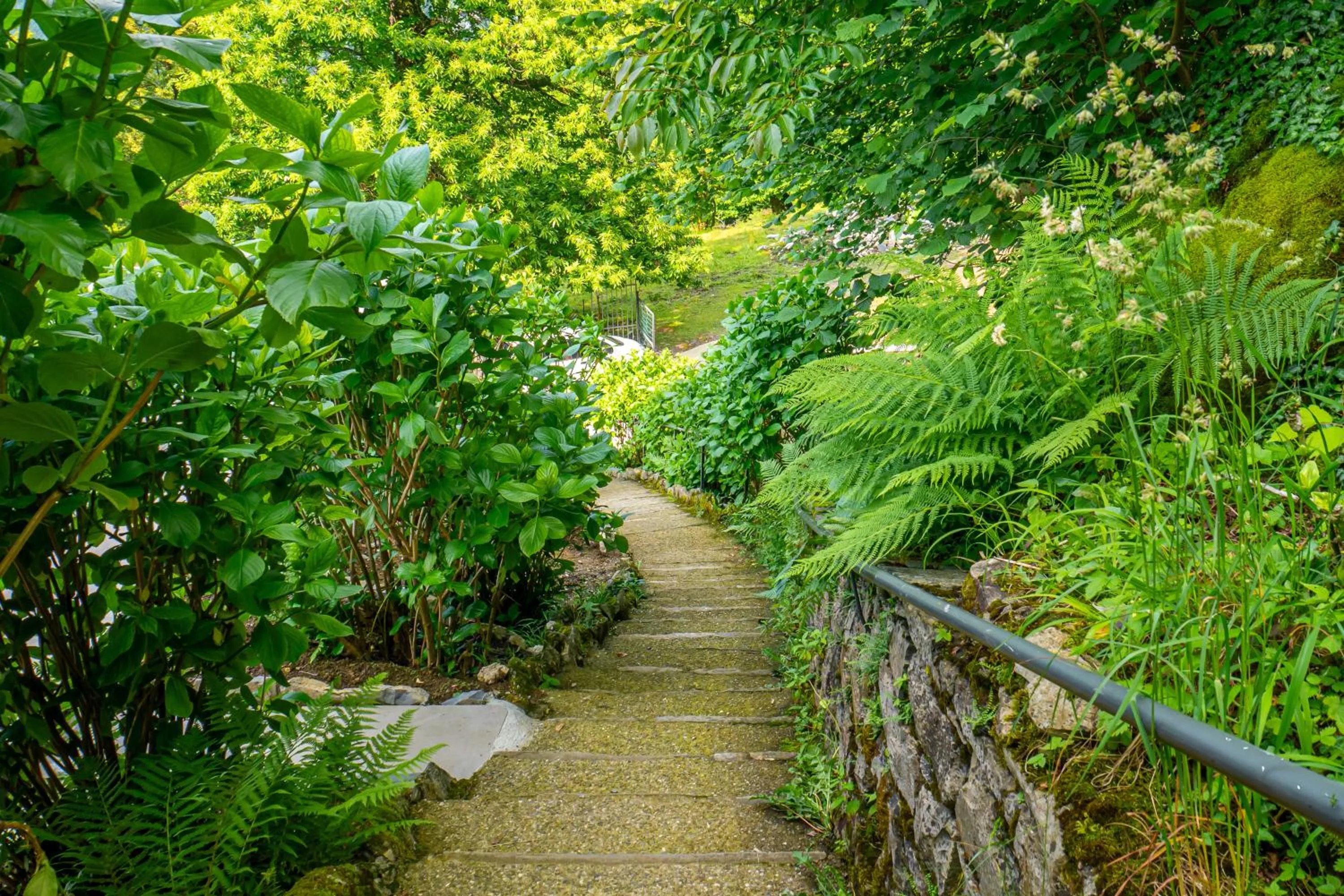Garden in Essentia Guest House