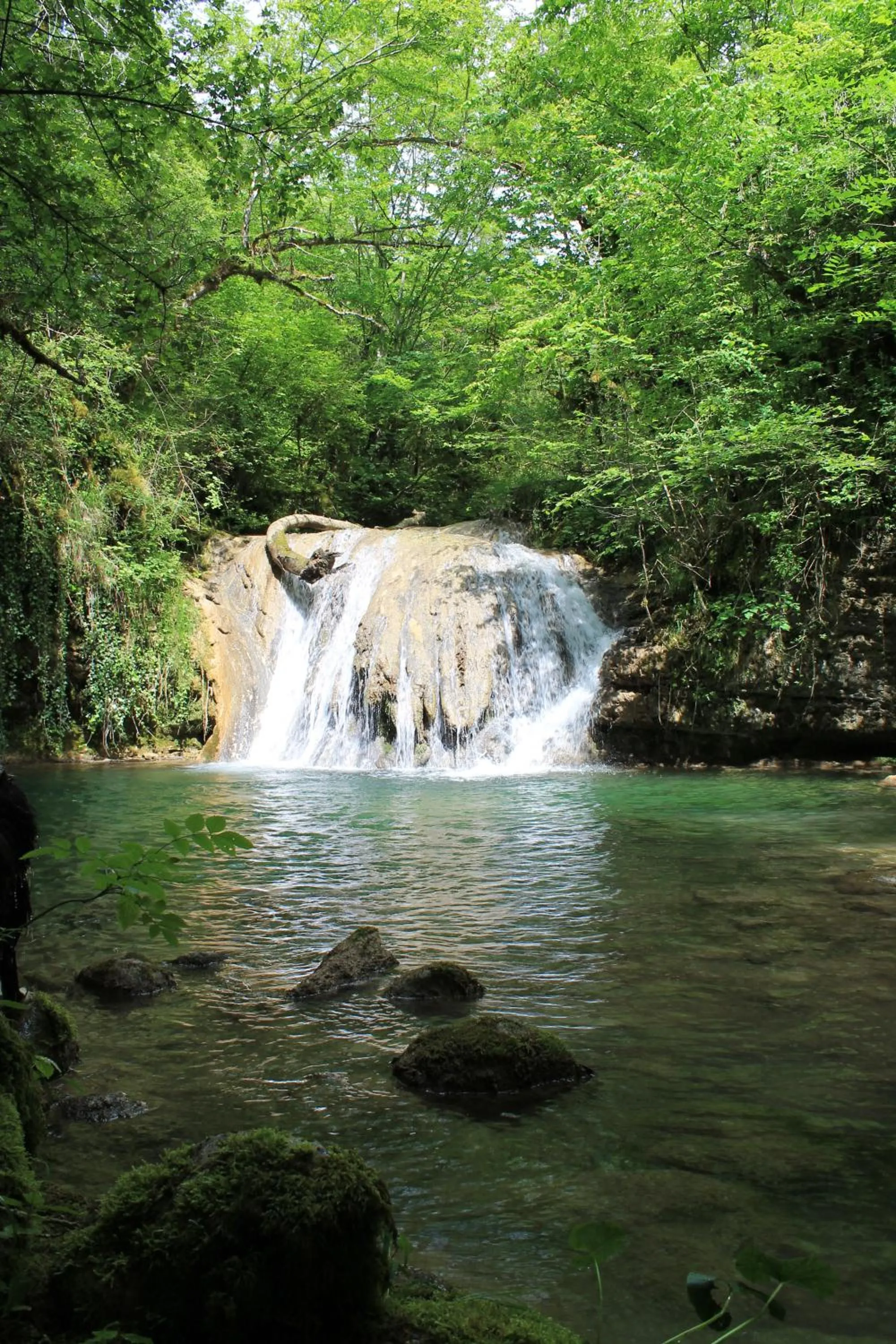 Natural landscape in Goute la vie