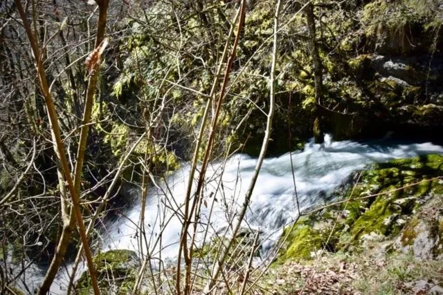 Natural landscape in Goute la vie
