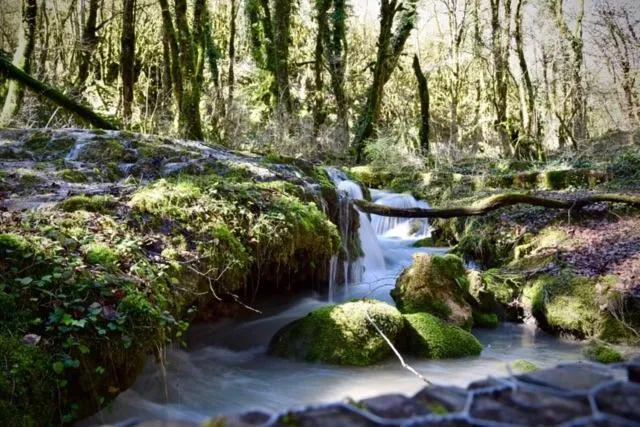Lake view in Goute la vie