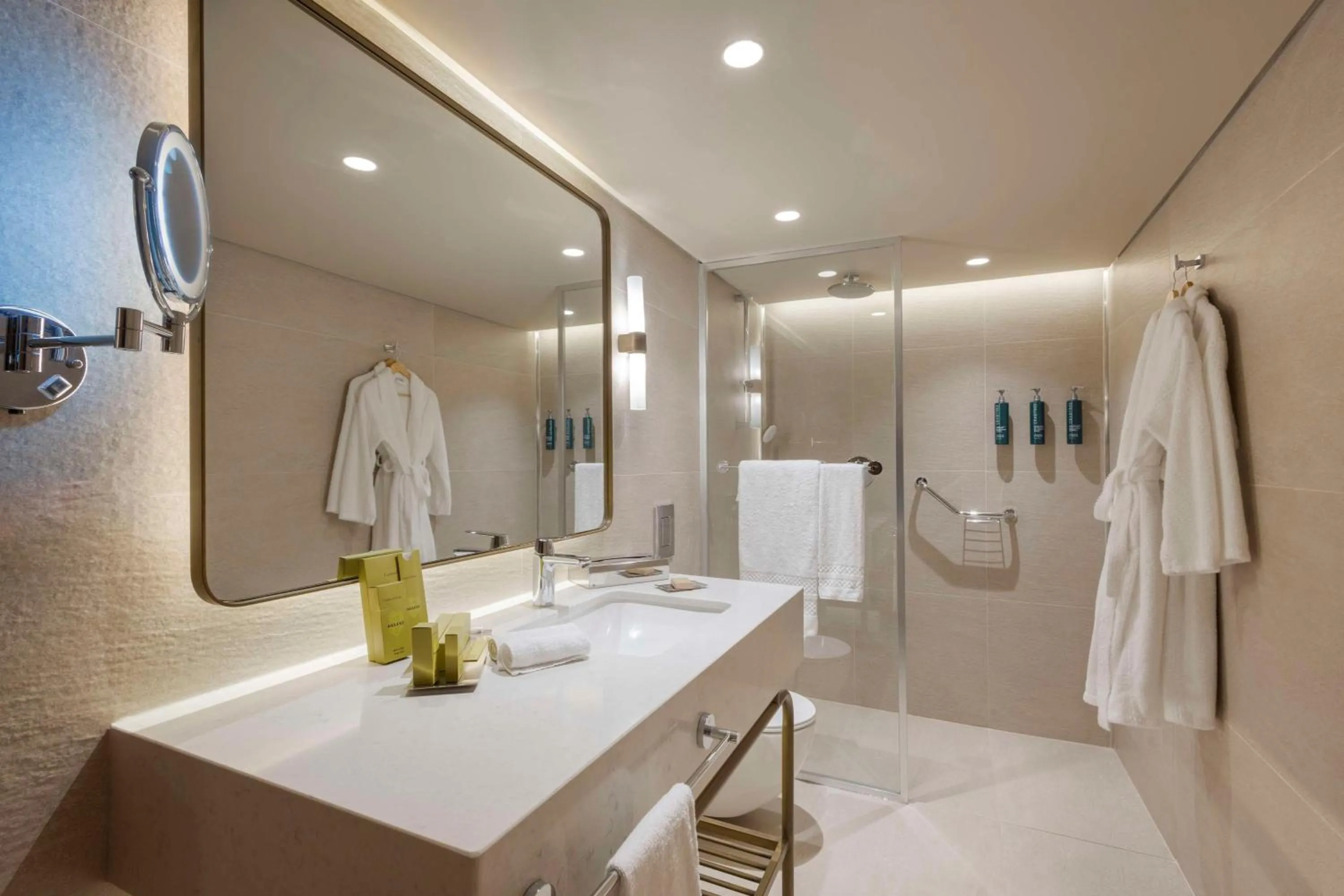 Toilet in Mersin HiltonSA