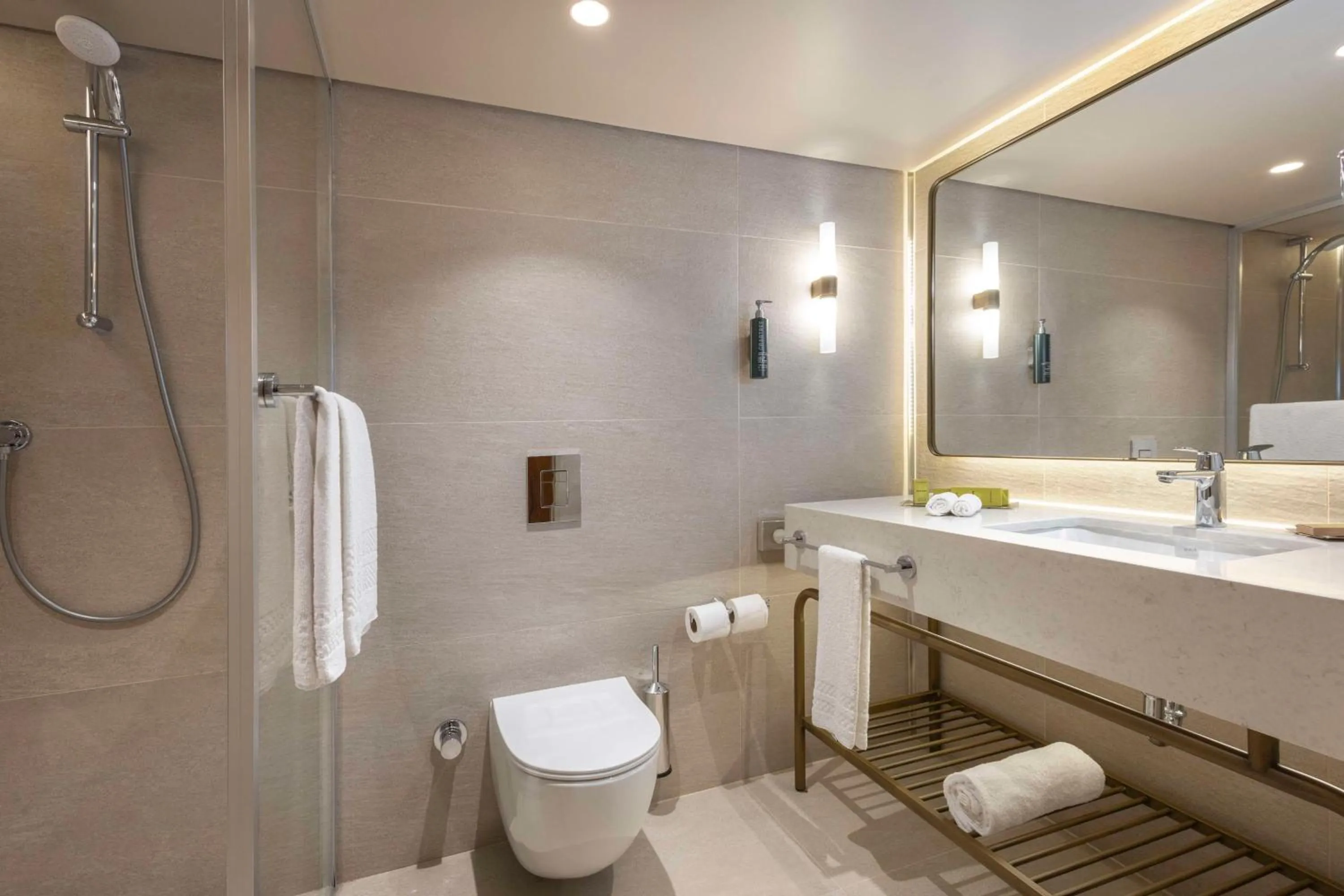 Toilet in Mersin HiltonSA