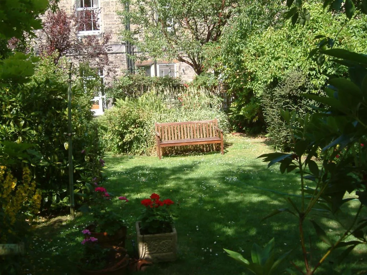 Natural landscape in Terrace hotel