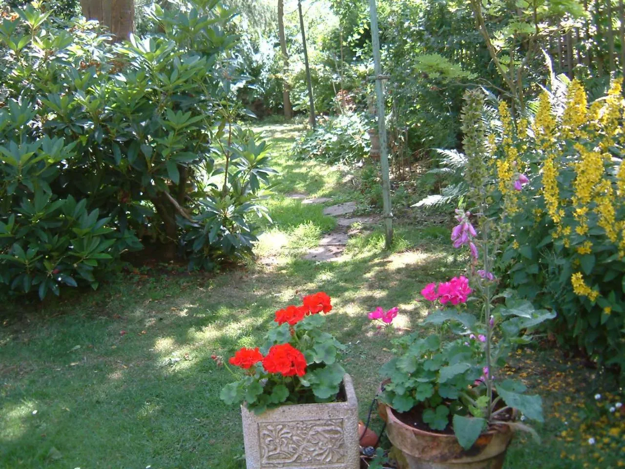 Natural landscape in Terrace hotel