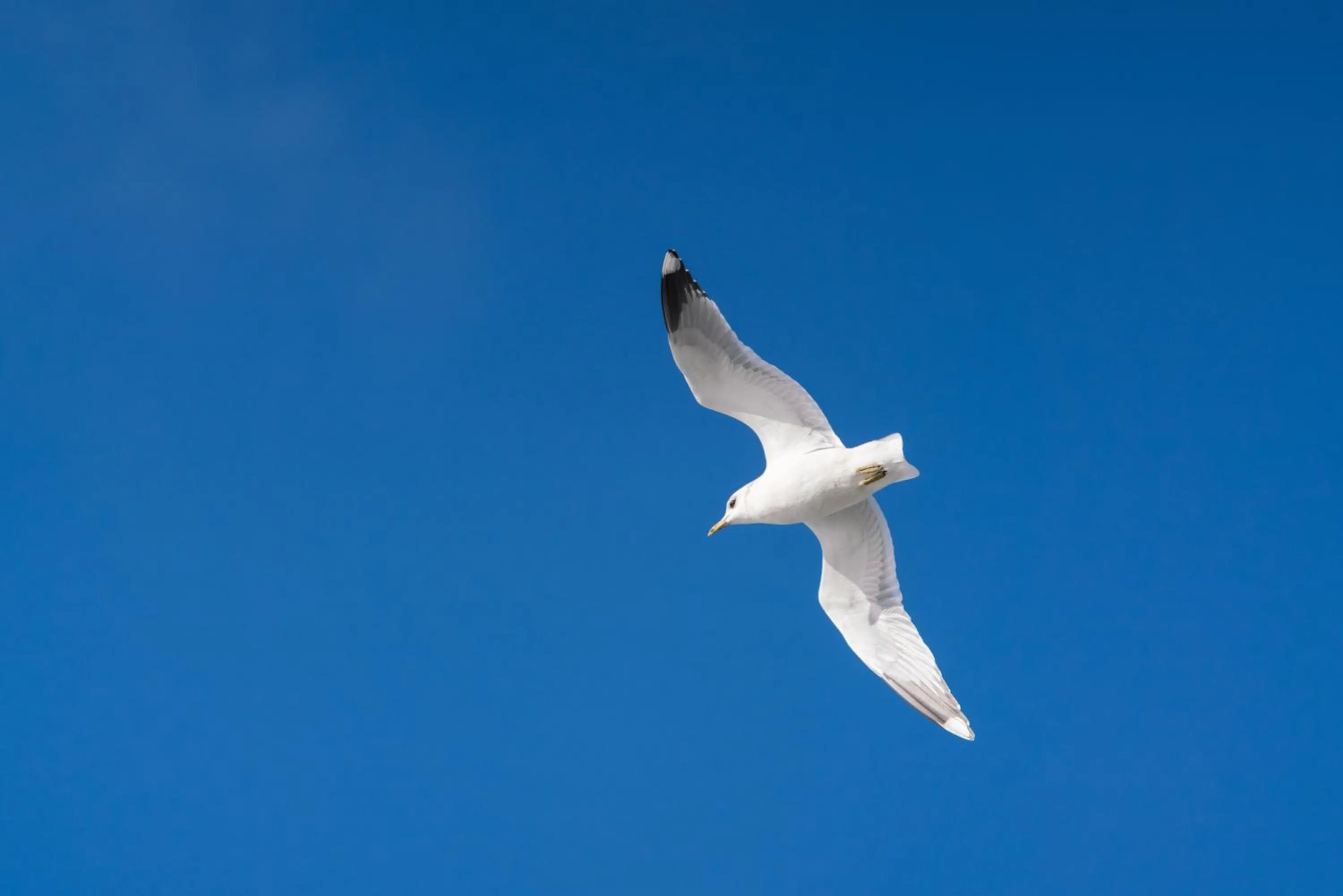 Beach in Les Chambres d'Hôtes de la Mer