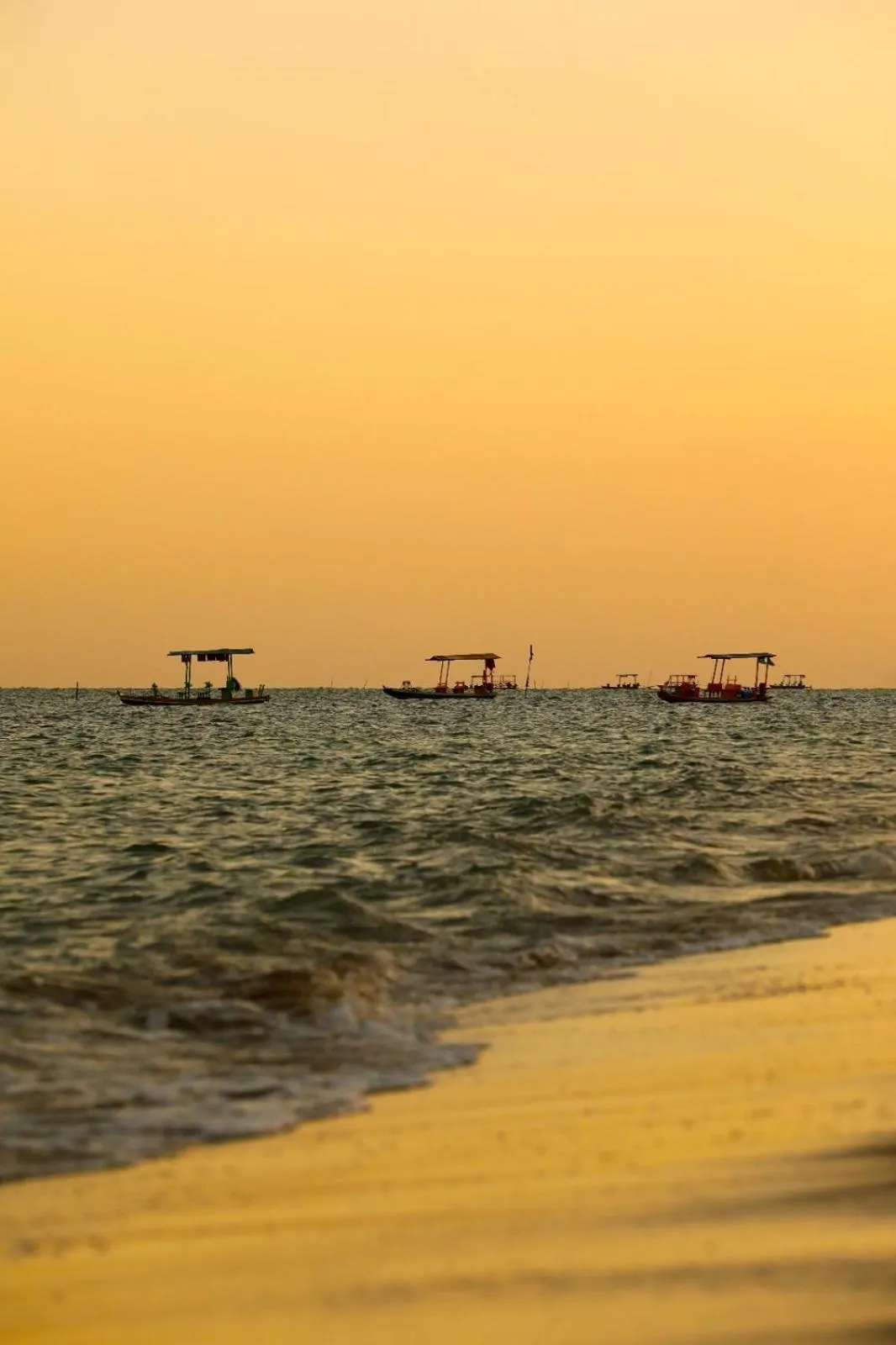 Natural landscape in Pousada Rota Ecológica