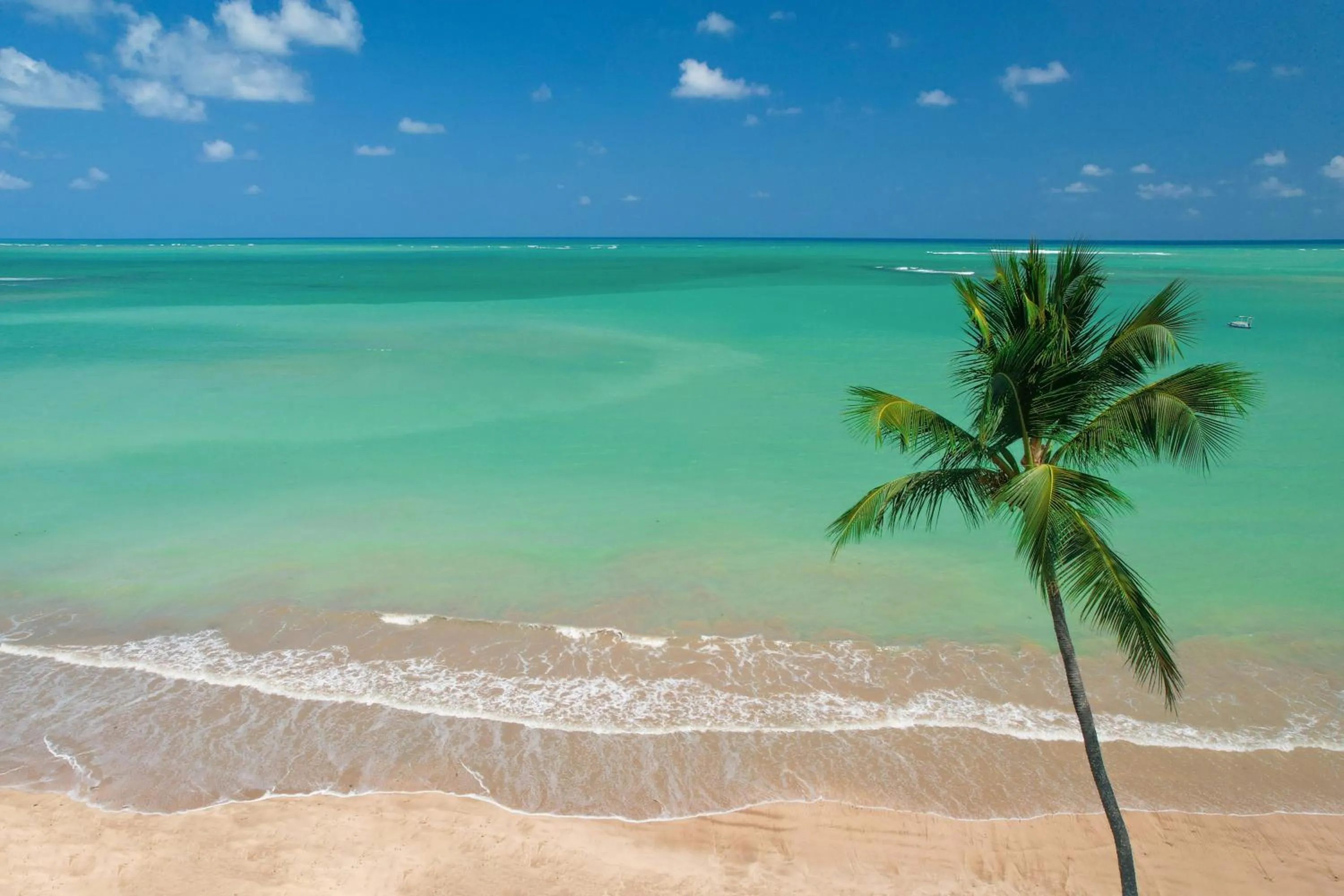 Beach in Pousada Rota Ecológica