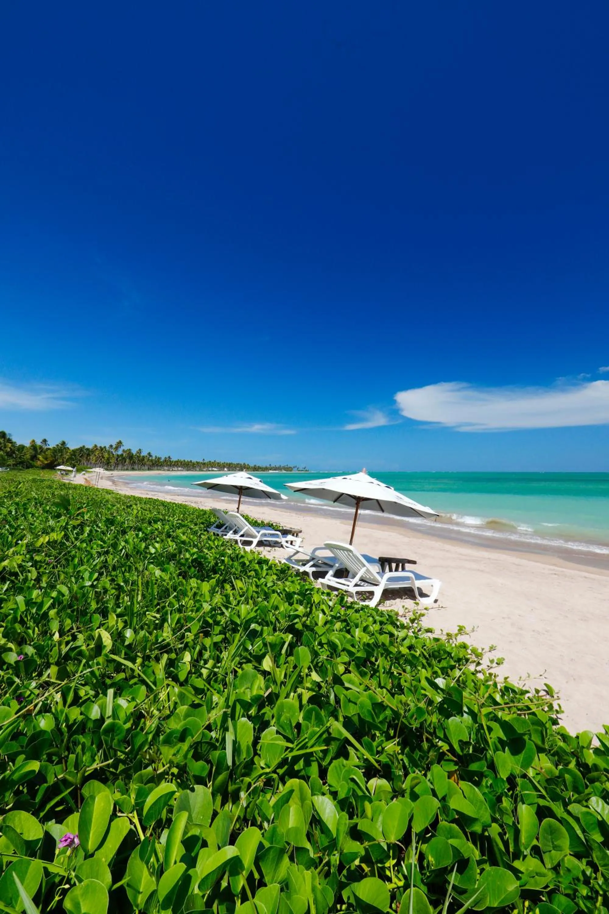 Beach in Pousada Rota Ecológica