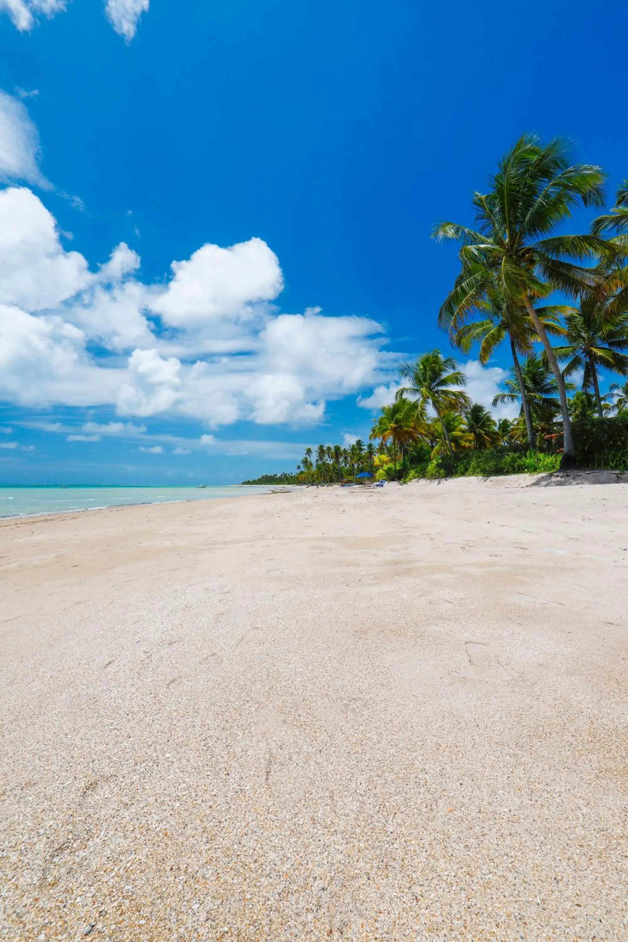 Nearby landmark in Pousada Rota Ecológica