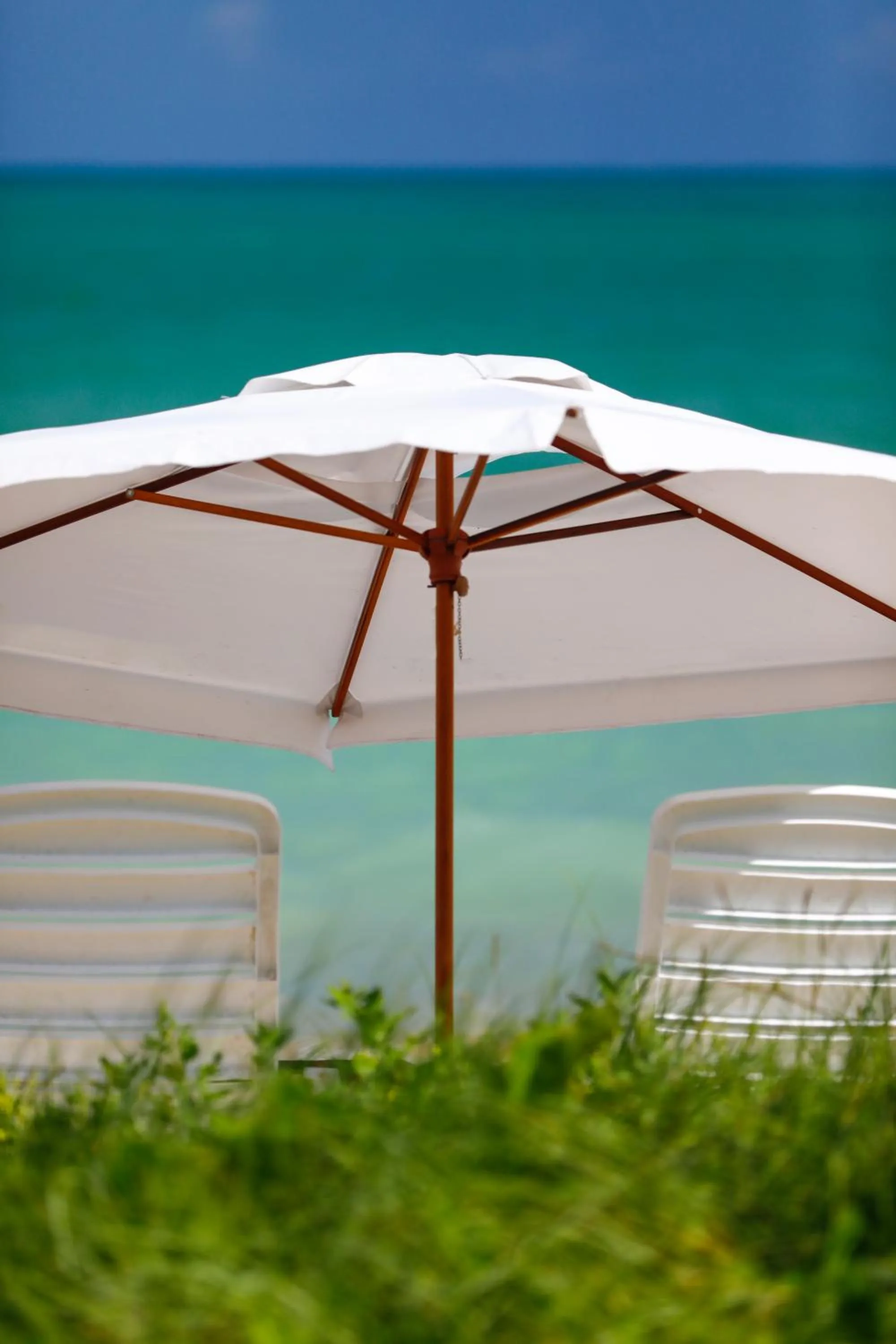 Restaurant/places to eat in Pousada Rota Ecológica