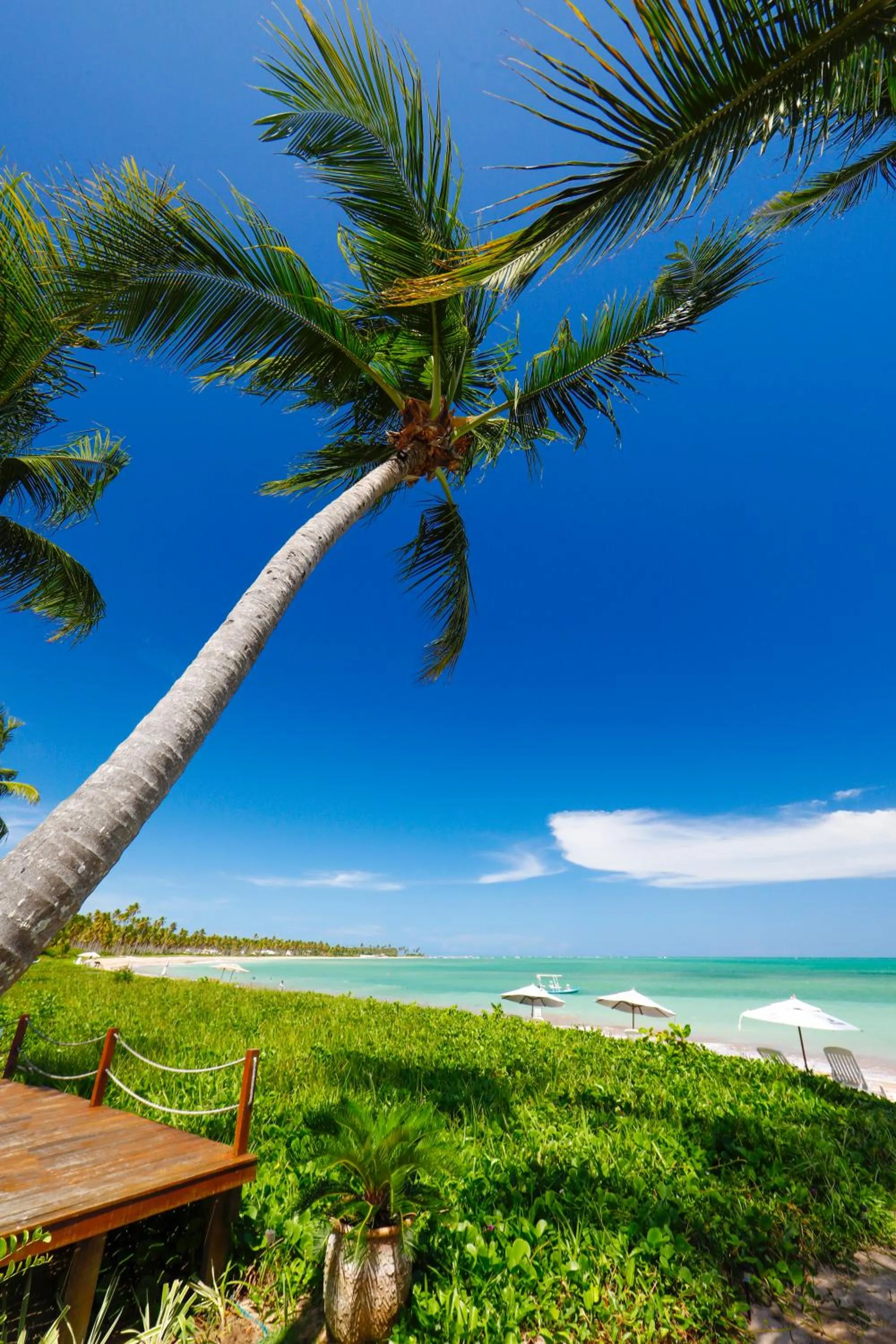 Sea view in Pousada Rota Ecológica
