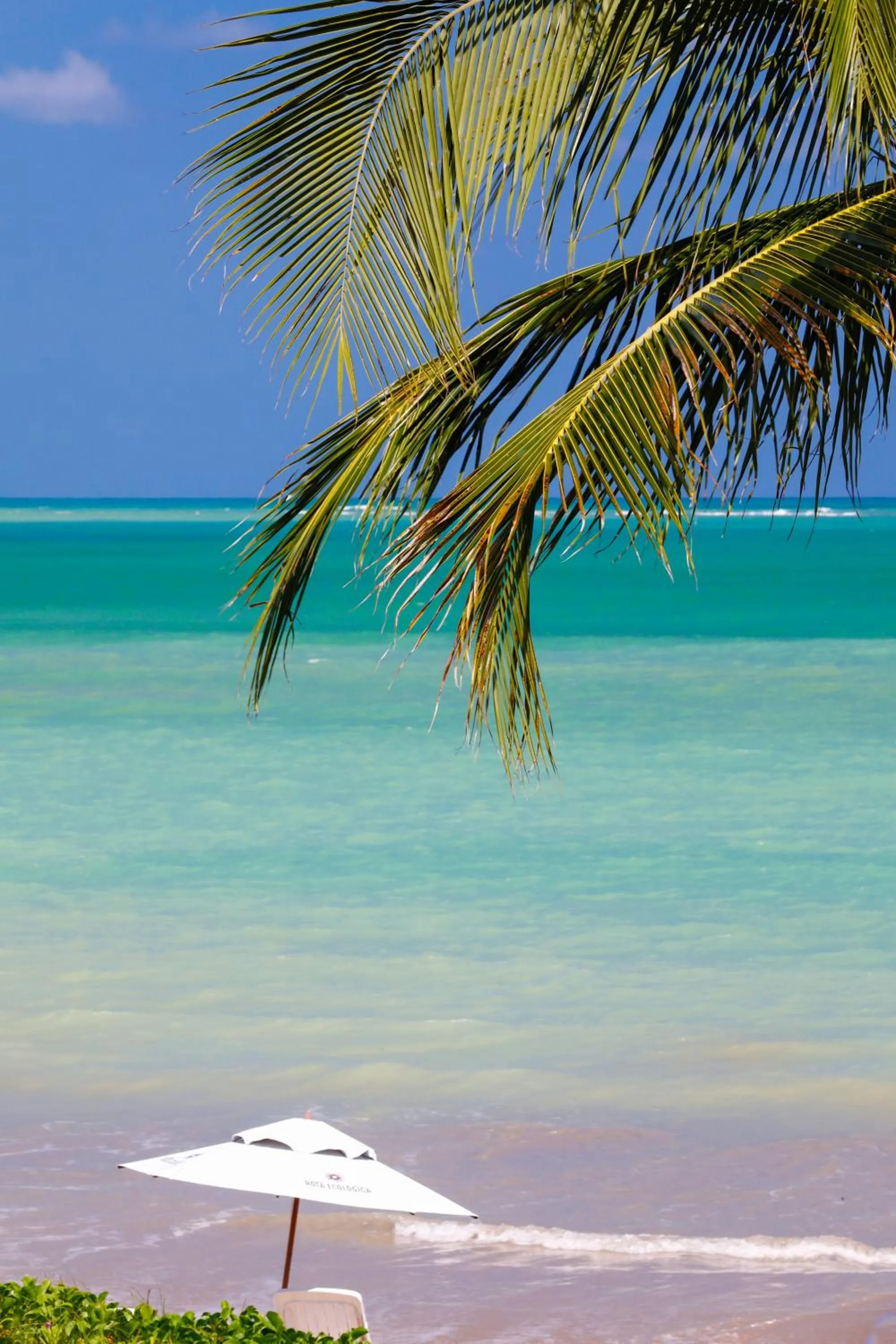 Natural landscape in Pousada Rota Ecológica