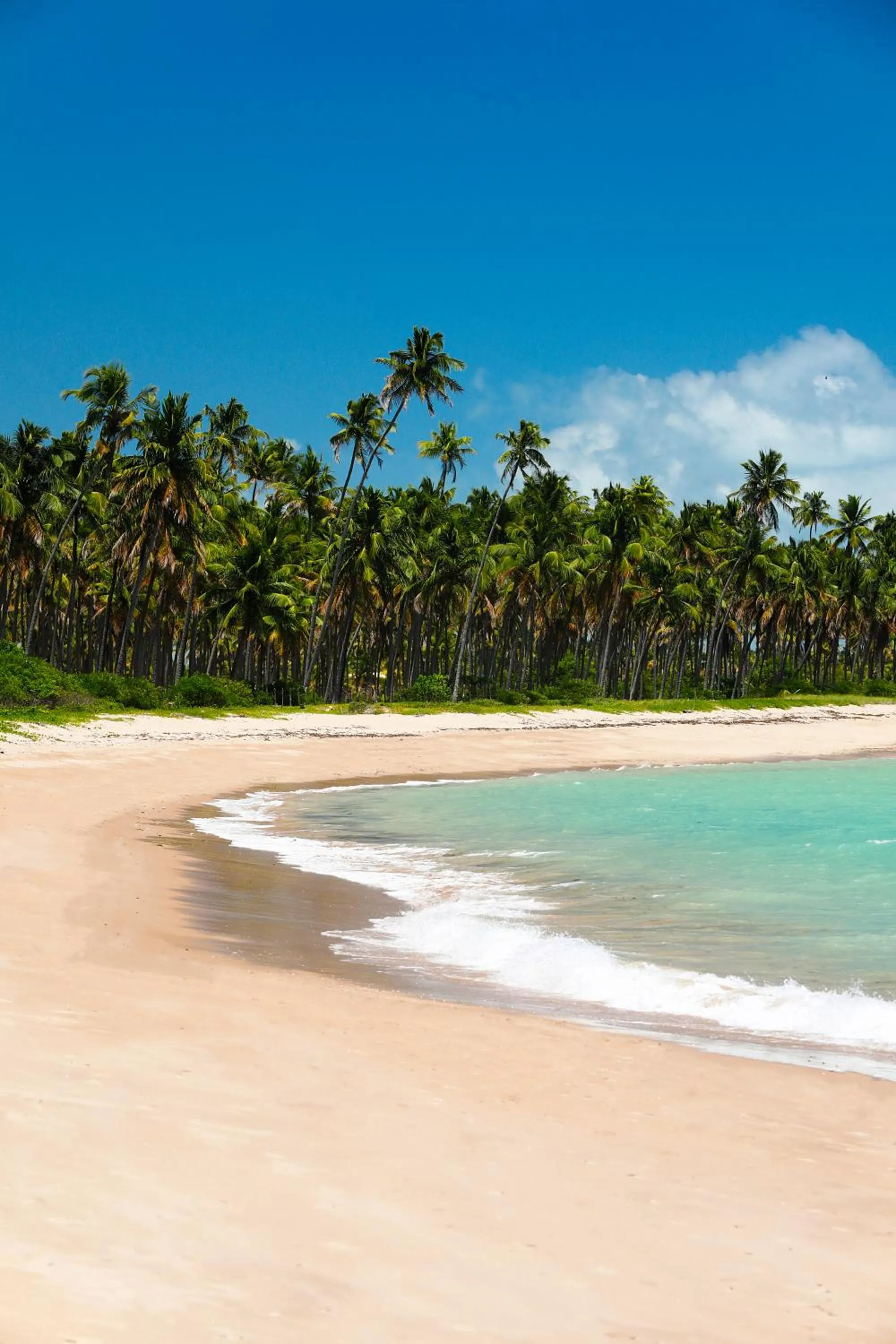 Beach in Pousada Rota Ecológica